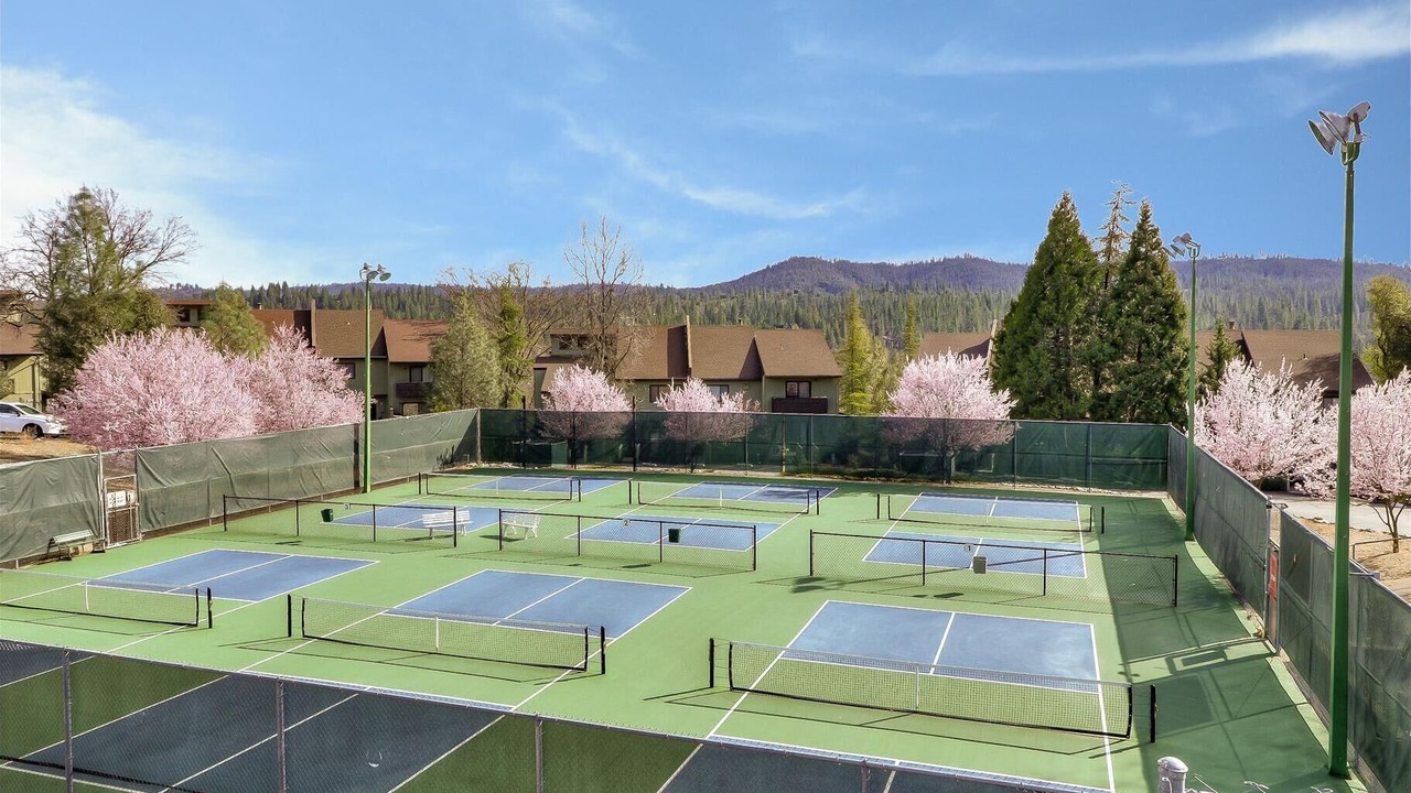 Photo of Outdoor in Groveland
