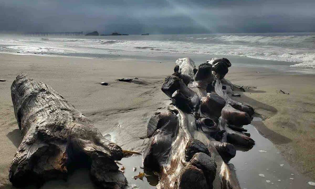 Photo of Others in Rio del Mar