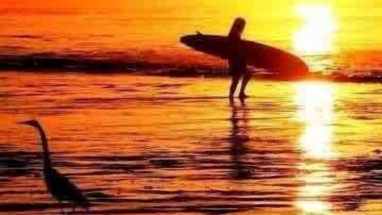 Photo of Others in Rio del Mar