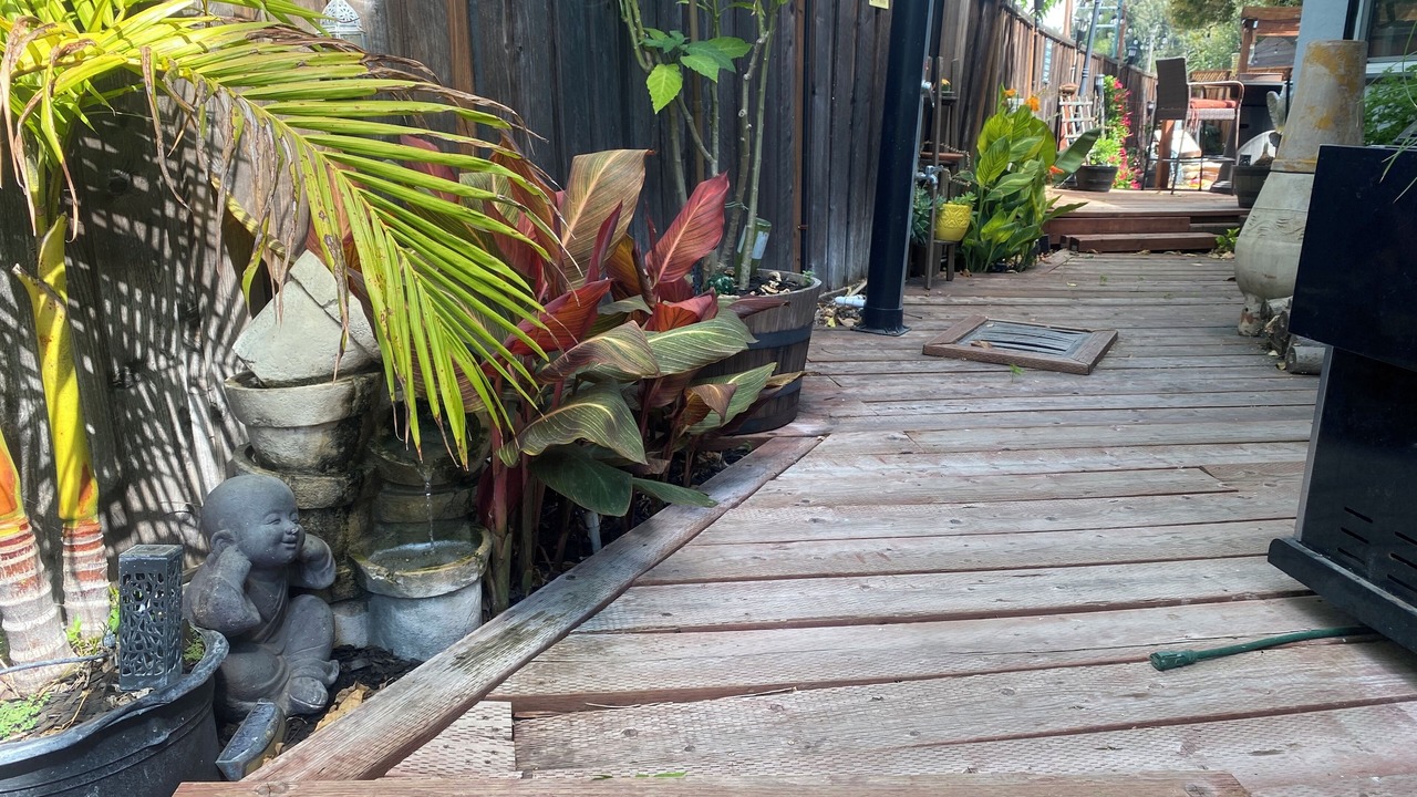 Photo of Outdoor in Willow Glen