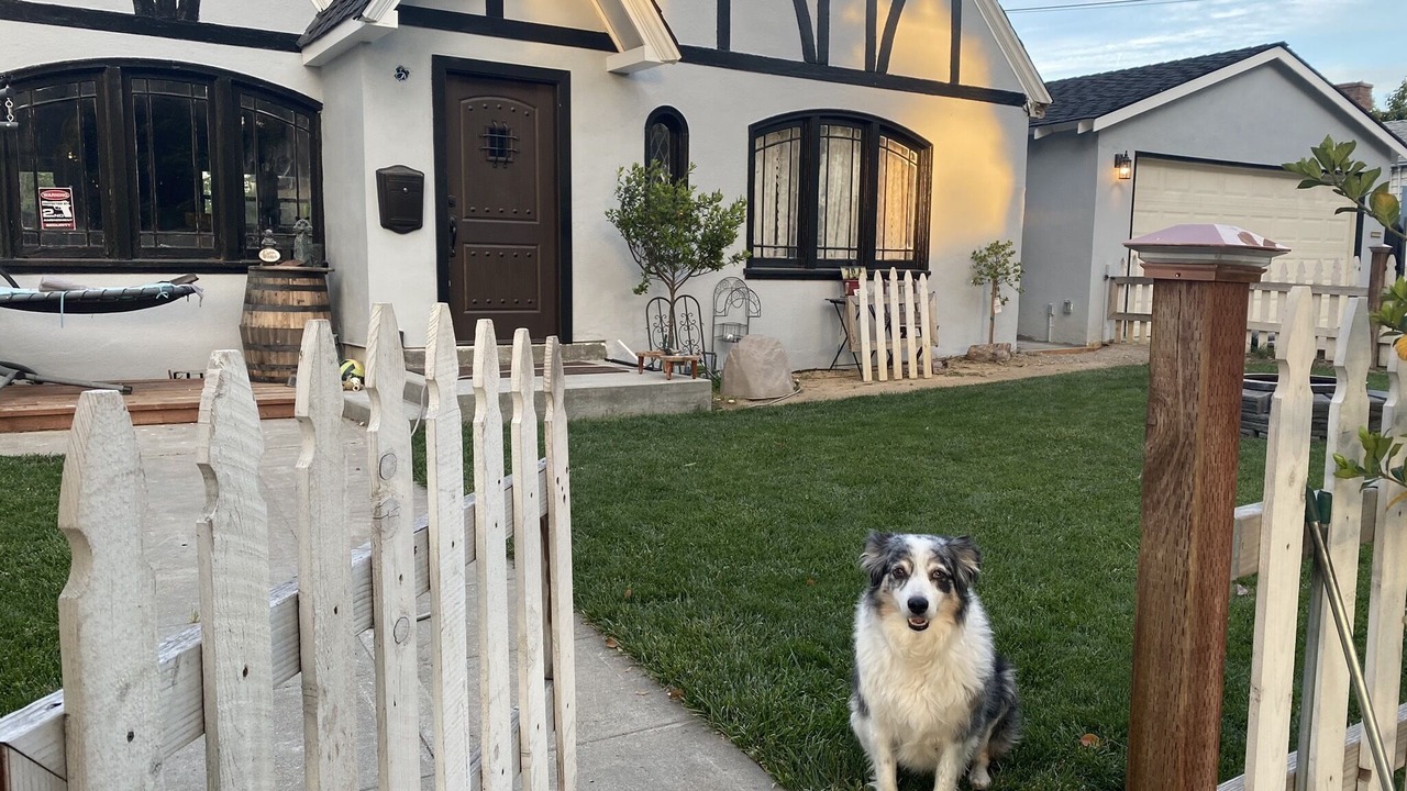 Photo of Outdoor in Willow Glen