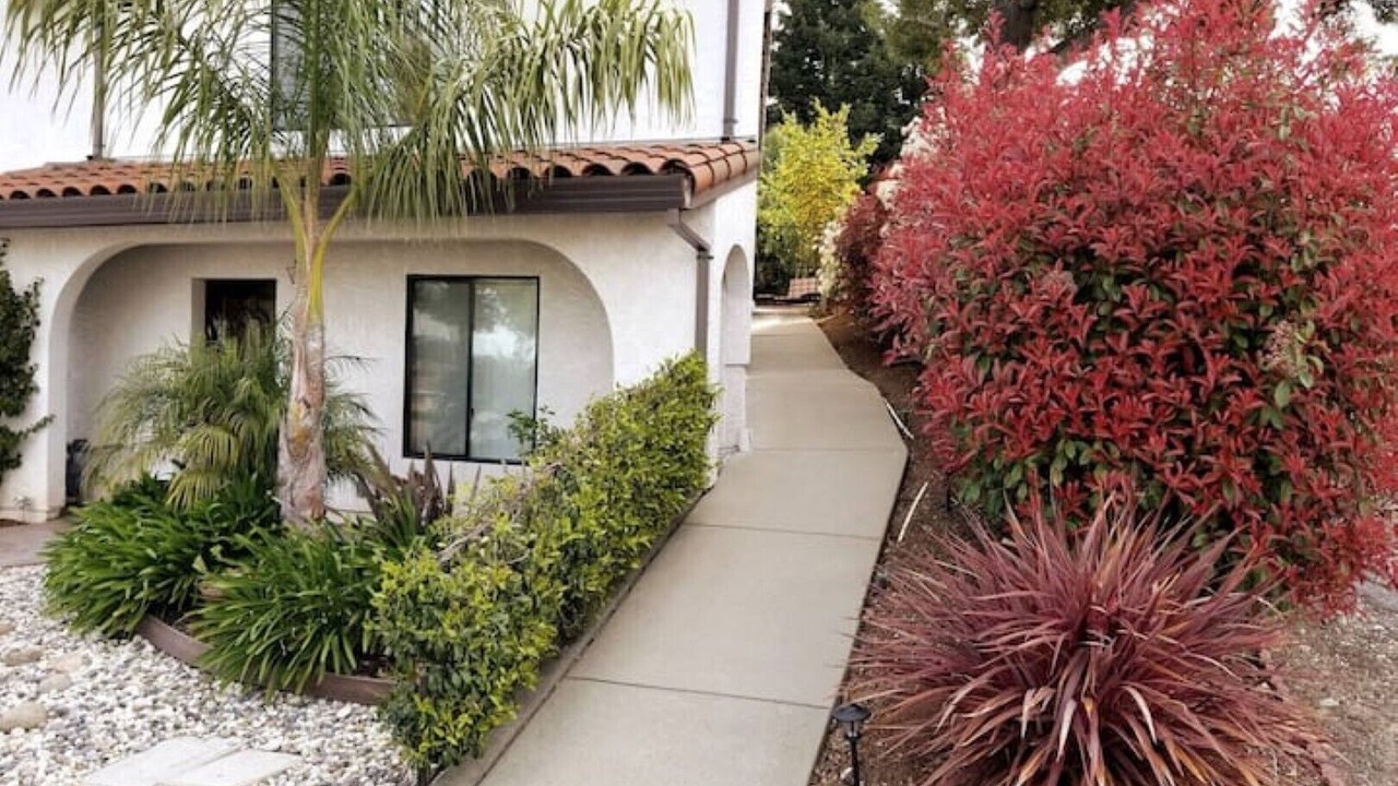 Photo of Outdoor in Castro Valley