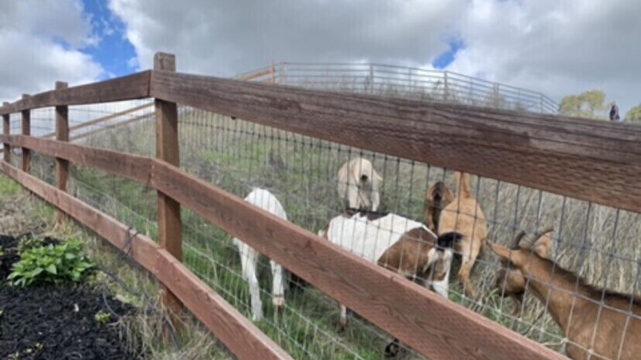 Photo of Outdoor in Castro Valley