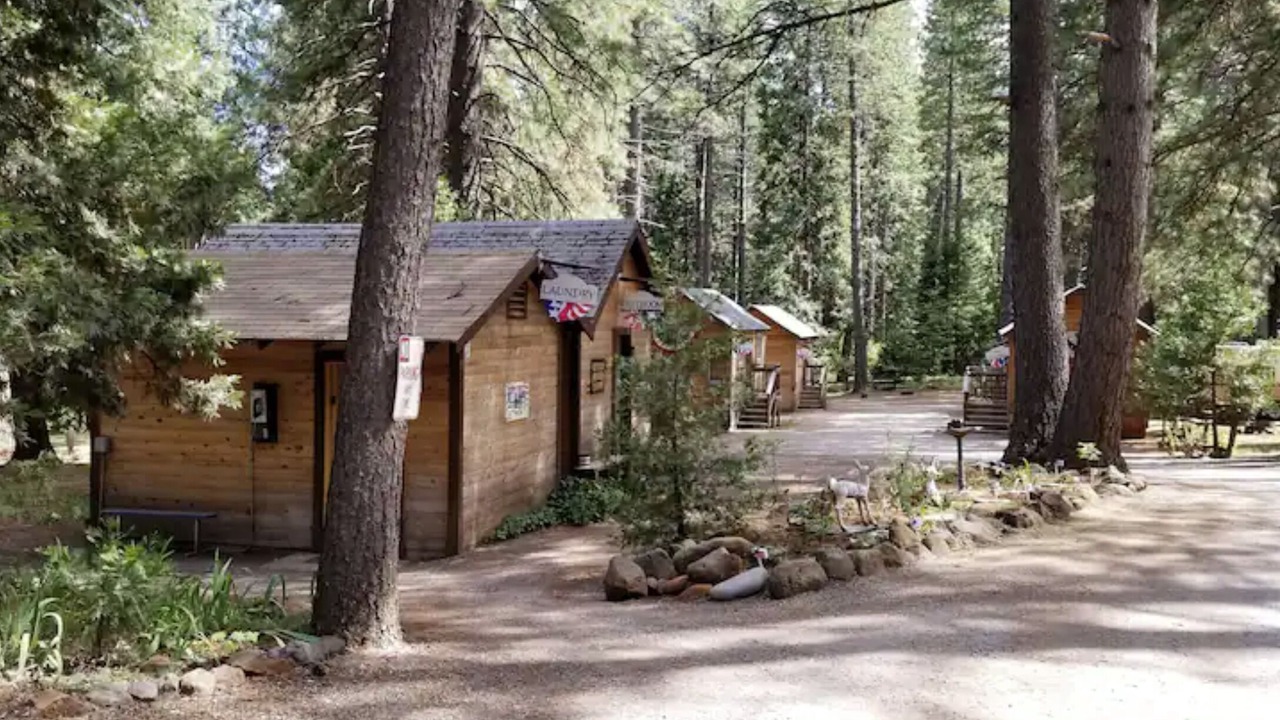 Photo of Outdoor in Shingletown