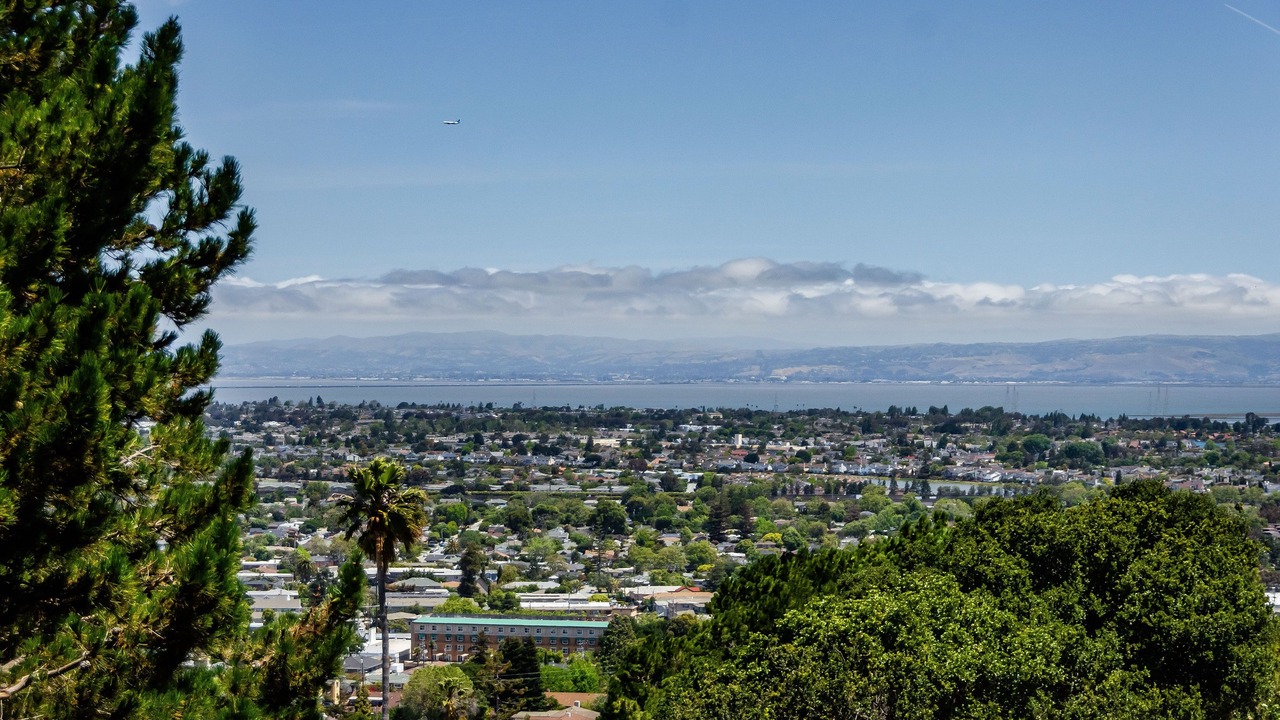 Photo of Others in South San Mateo
