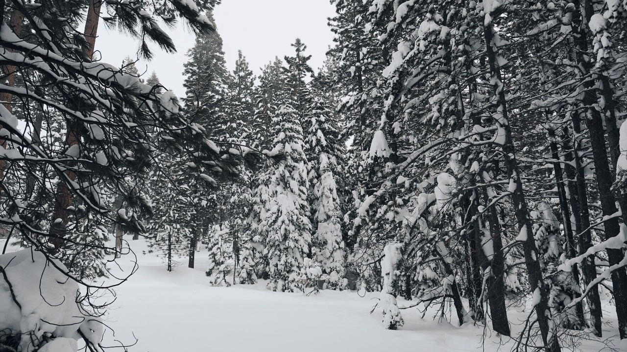 Photo of Others in Angora Highlands