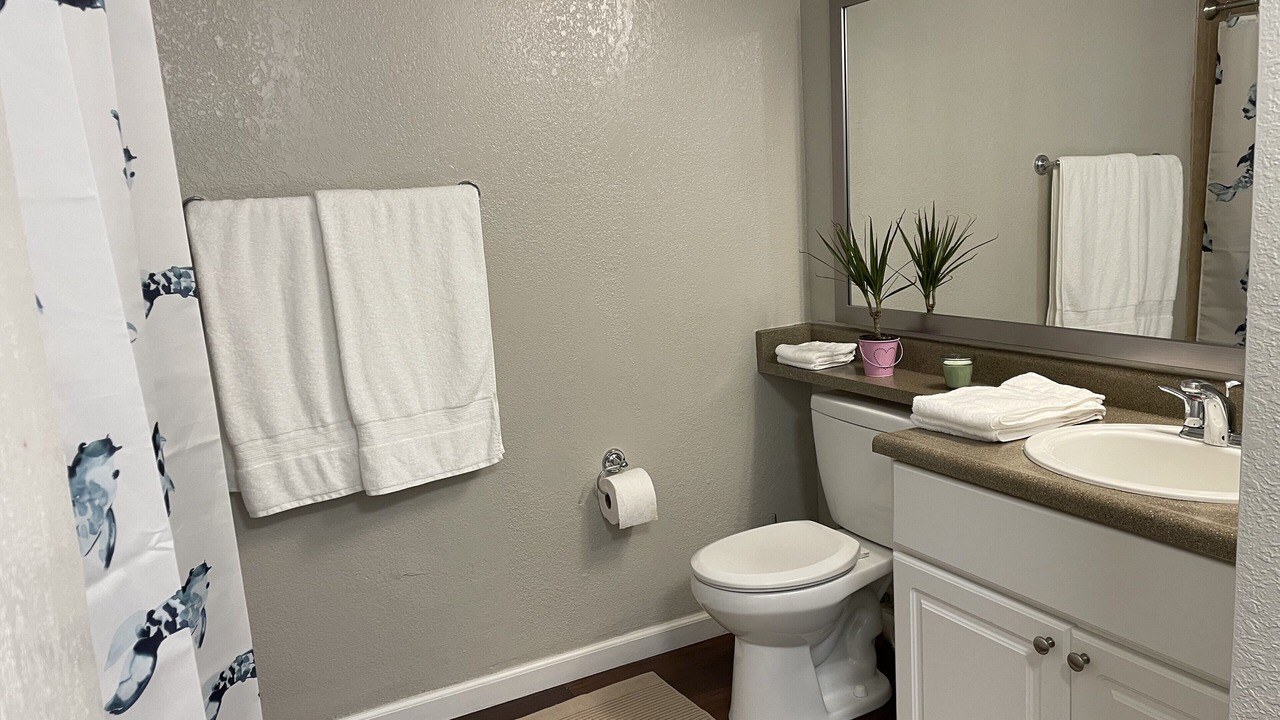 Photo of Bathroom in El Macero