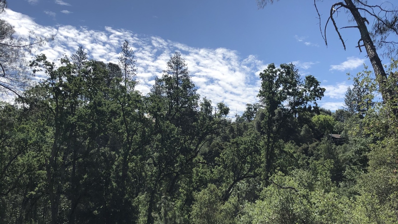 Photo of Outdoor in North Fork
