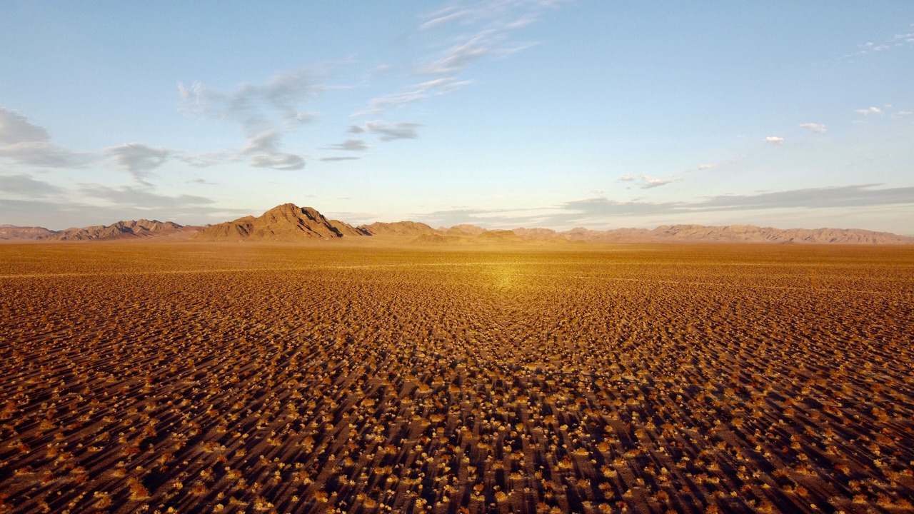 Photo of Others in Amargosa Valley