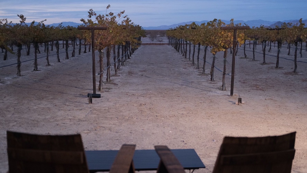 Photo of Others in Amargosa Valley
