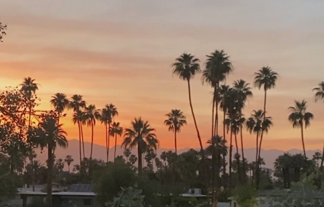 Photo of Others in Palm Springs
