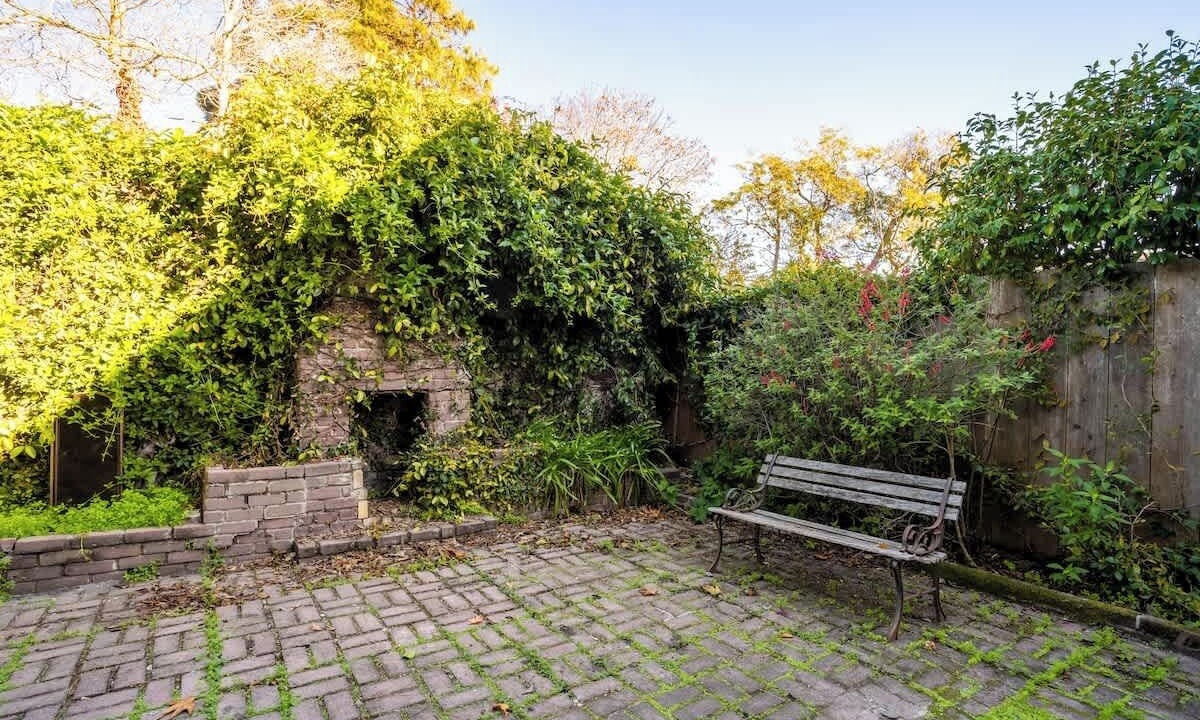 Photo of Outdoor in North Berkeley