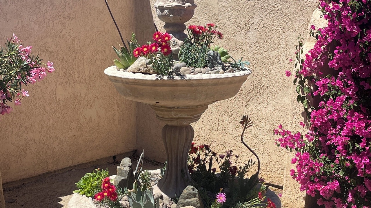 Photo of Outdoor in Twentynine Palms