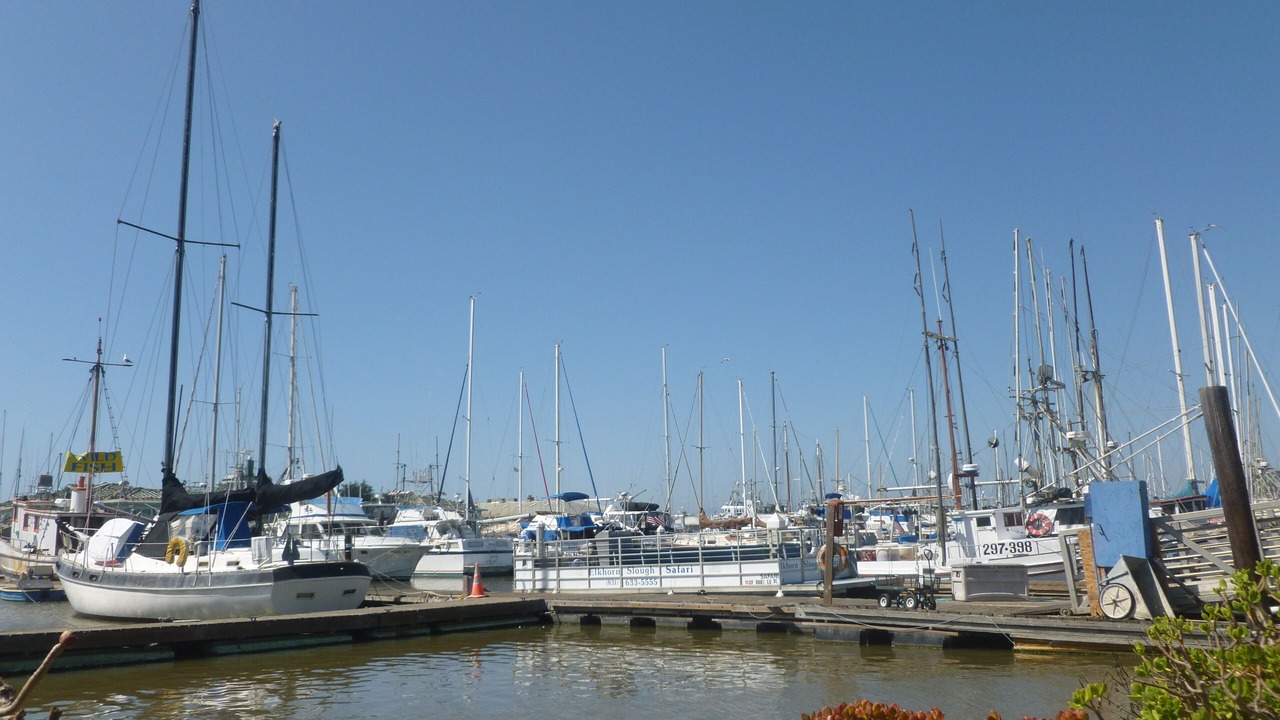 Photo of Others in Marina