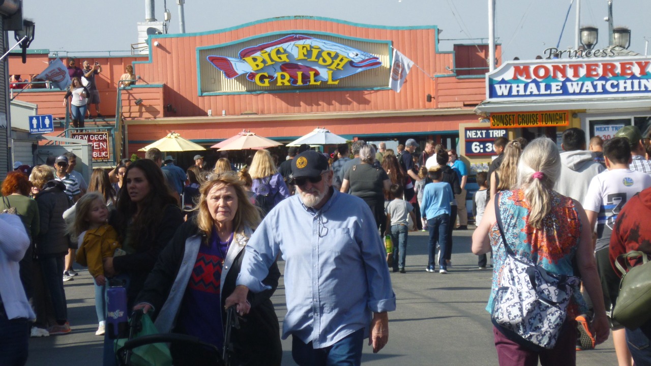 Photo of Others in Marina