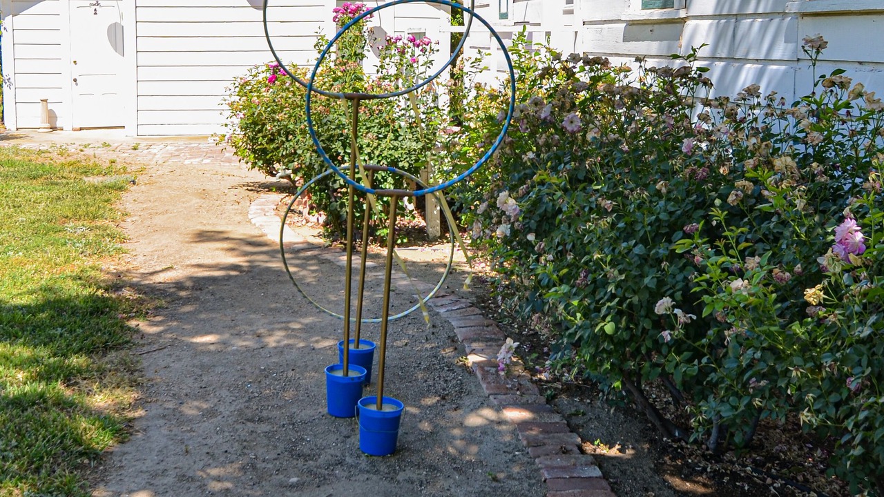Photo of Outdoor in Paso Robles
