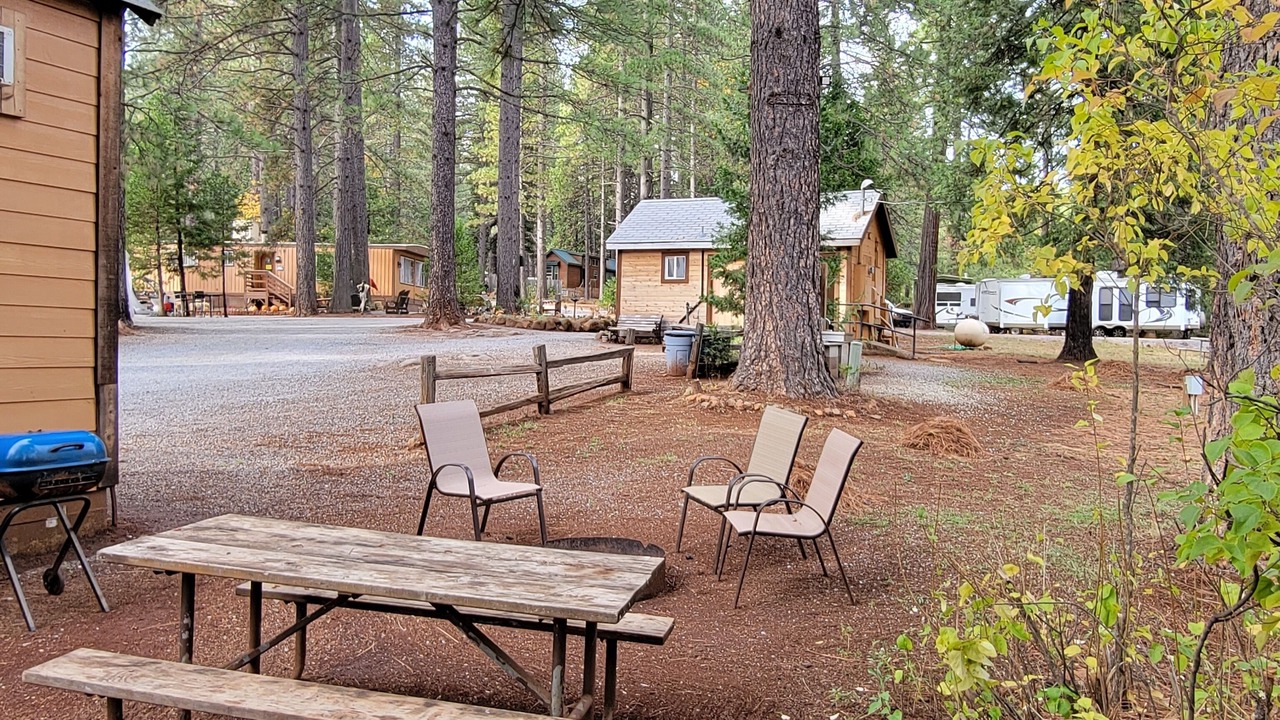 Photo of Outdoor in Shingletown