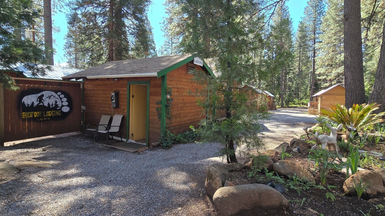 Photo of Outdoor in Shingletown