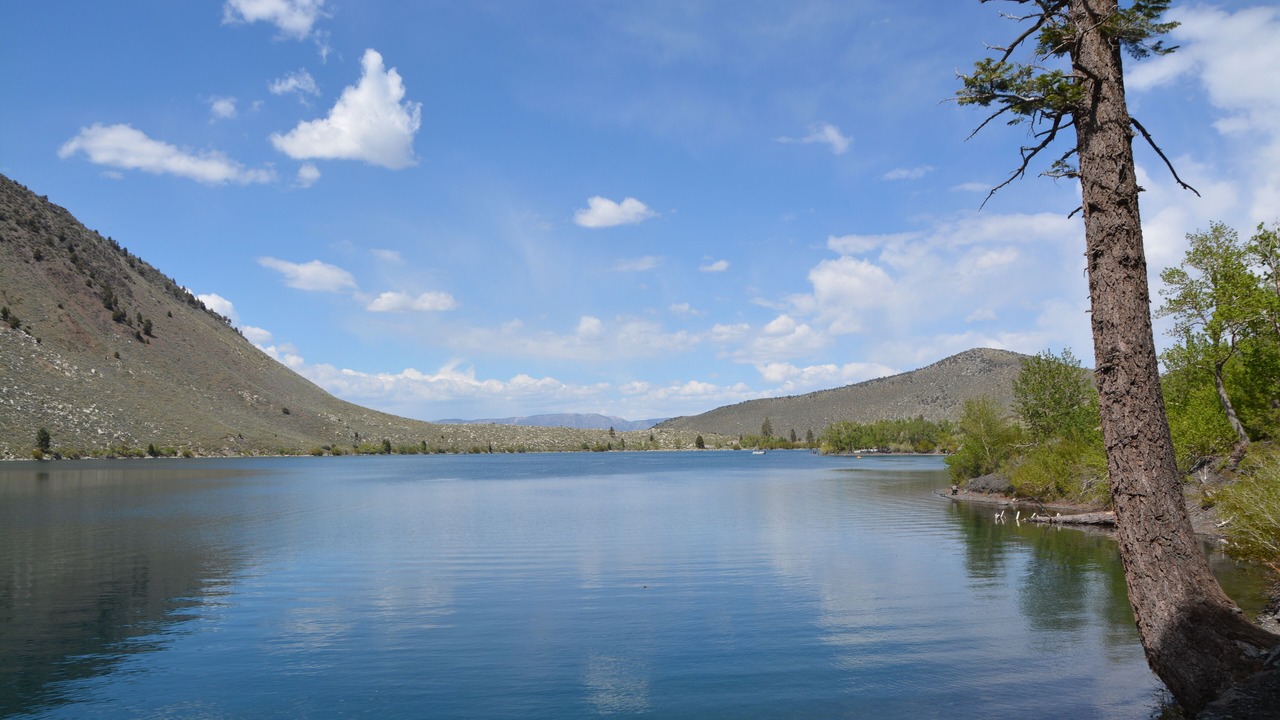 Photo of Others in Mammoth Lakes