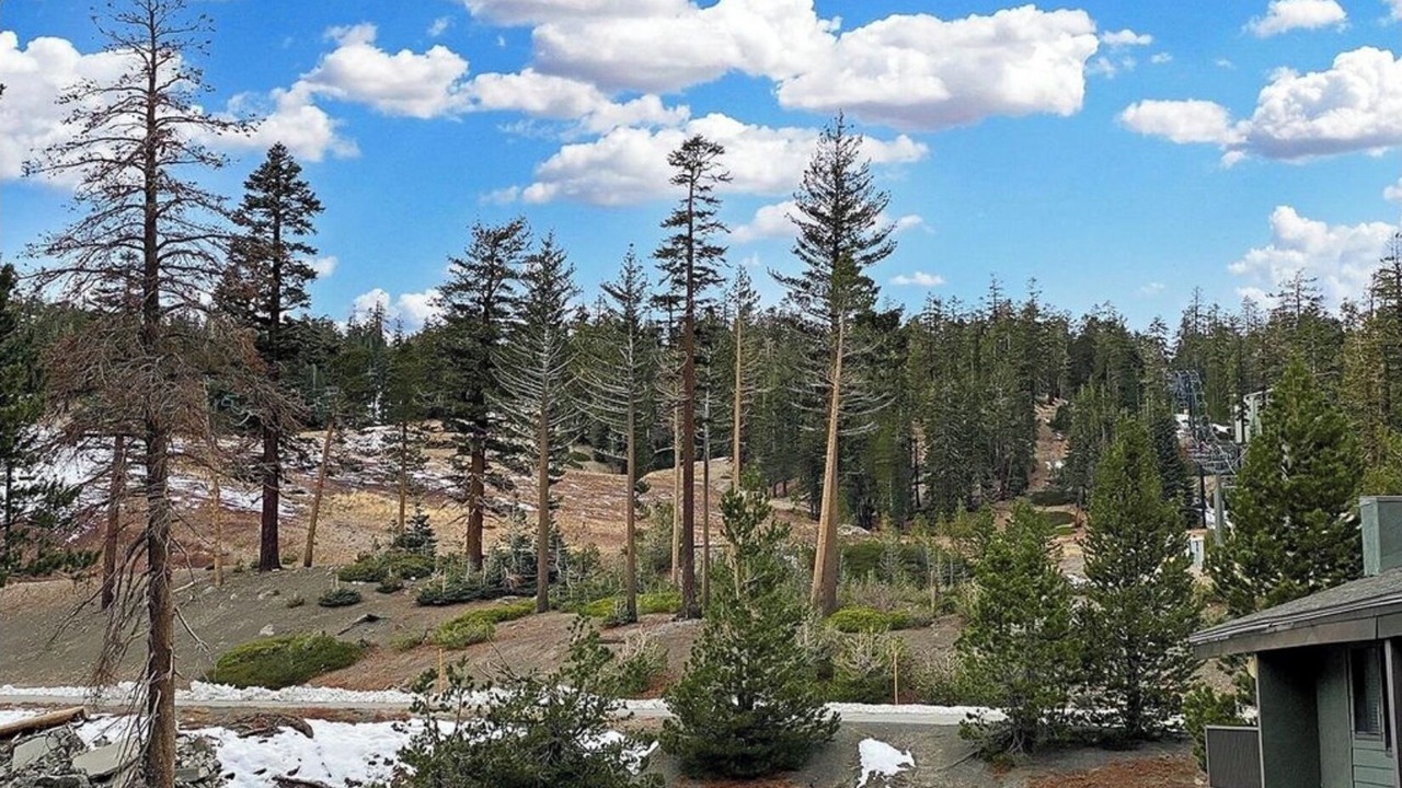 Photo of Others in Mammoth Lakes