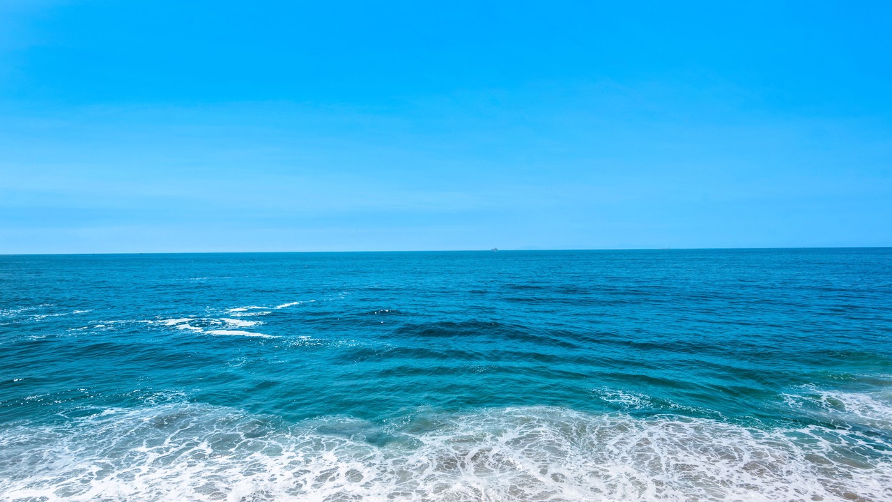 Photo of Others in South Laguna