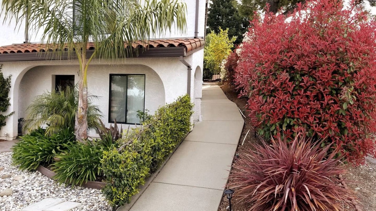 Photo of Outdoor in Castro Valley
