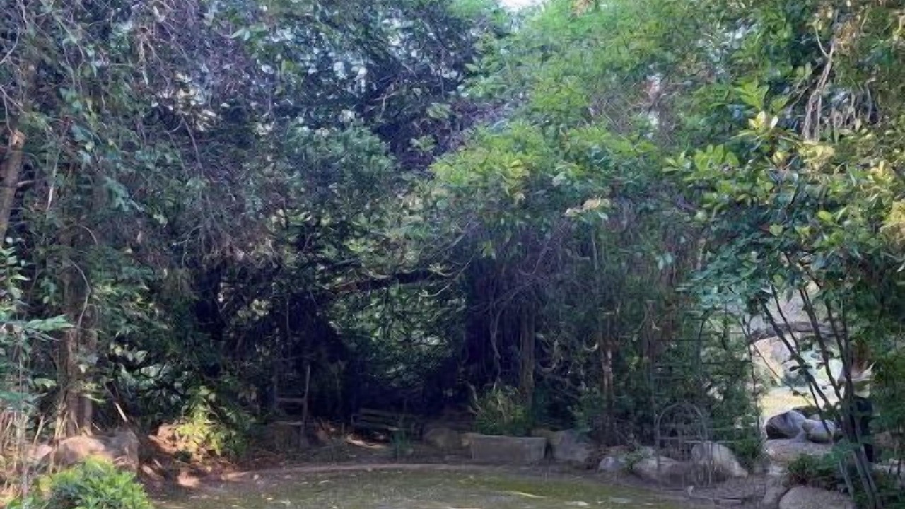 Photo of Outdoor in Three Rivers