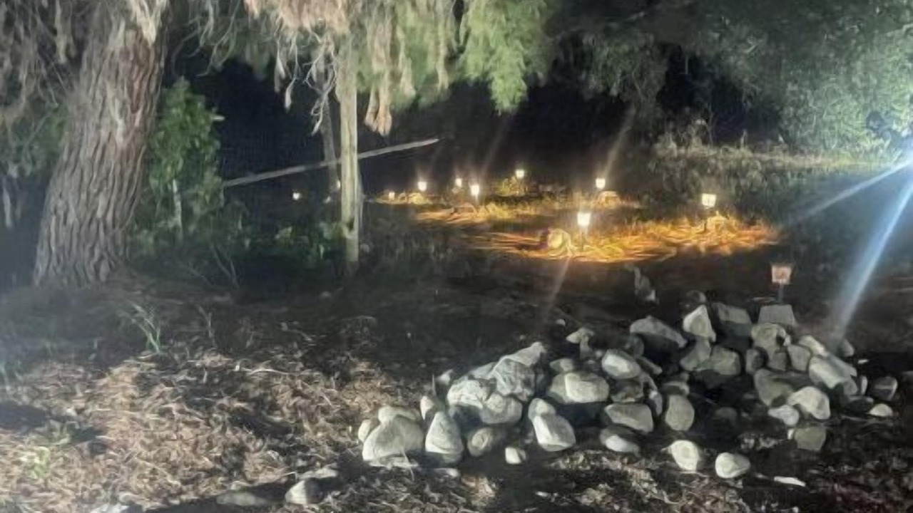 Photo of Others in Three Rivers