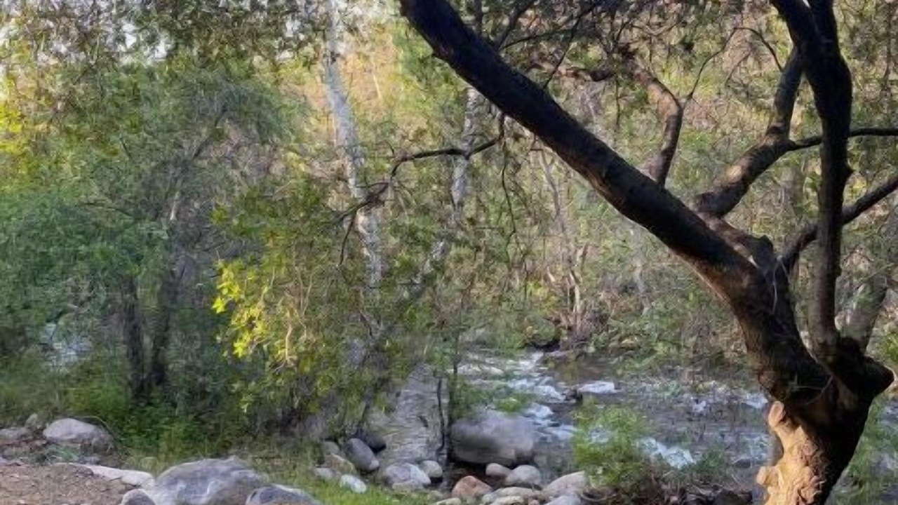 Photo of Others in Three Rivers