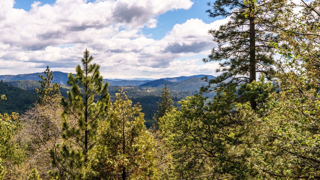 Photo of Outdoor in Phoenix Lake-Cedar Ridge