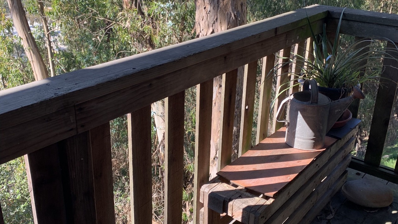 Photo of Outdoor in Piedmont Pines