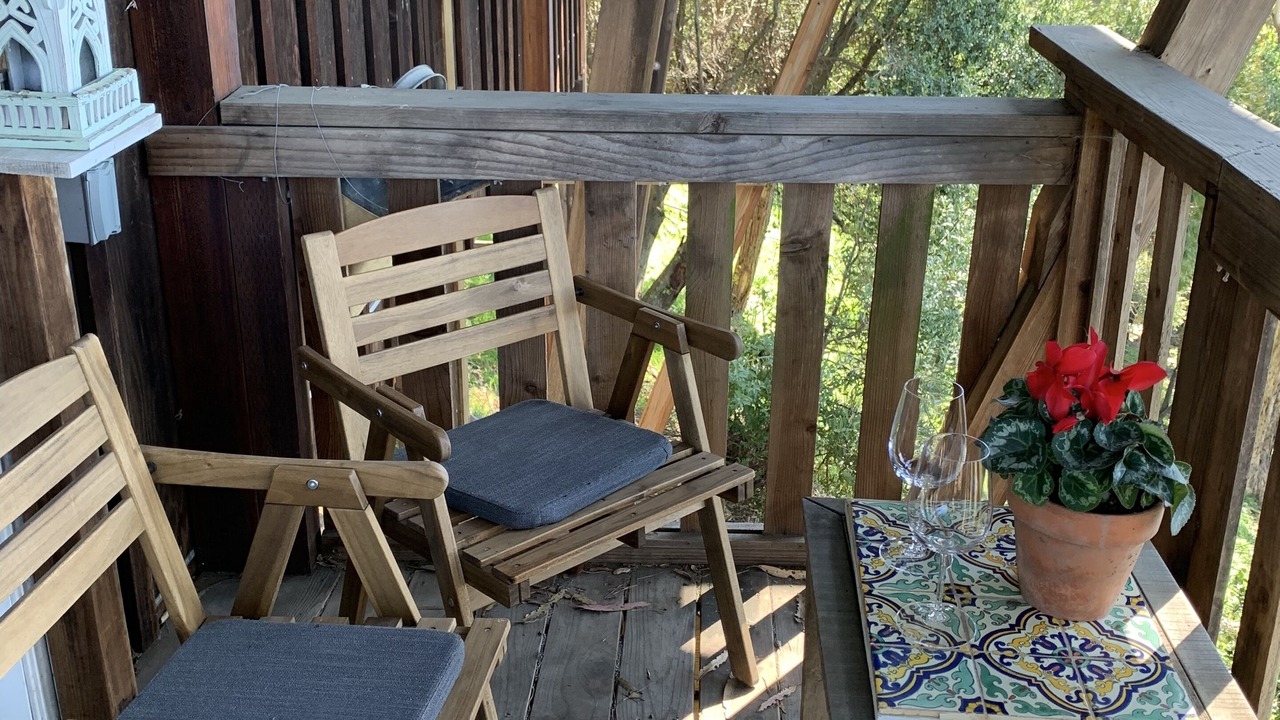 Photo of Outdoor in Piedmont Pines