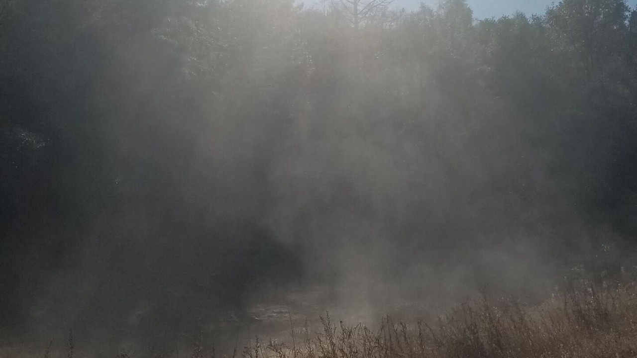 Photo of Others in Cold Springs