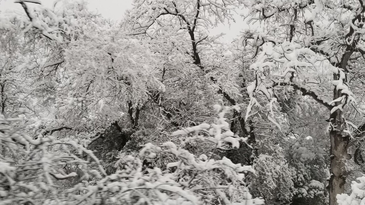 Photo of Outdoor in Cold Springs