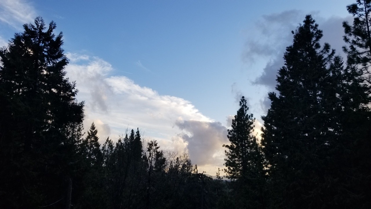 Photo of Others in Cold Springs