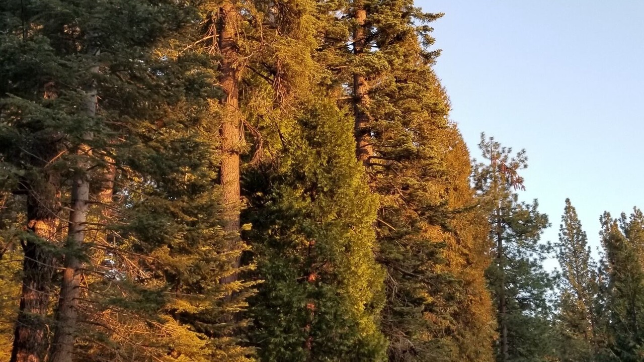 Photo of Outdoor in Cold Springs