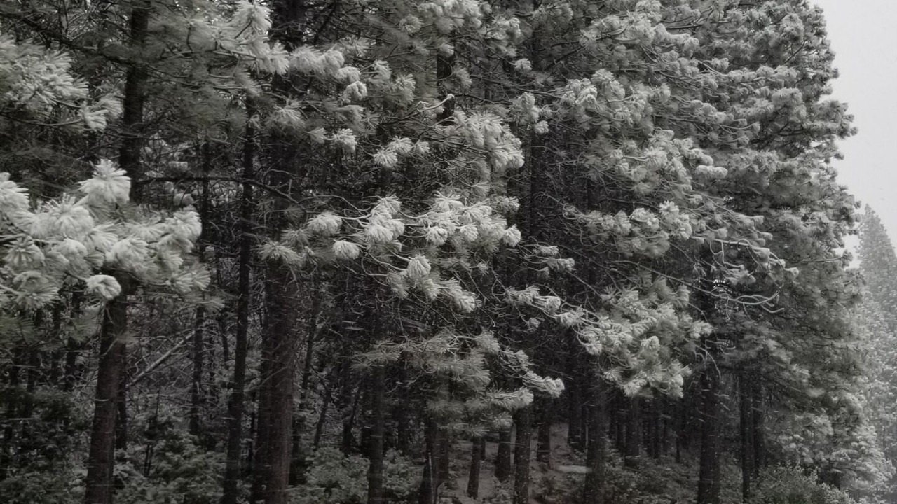 Photo of Outdoor in Cold Springs