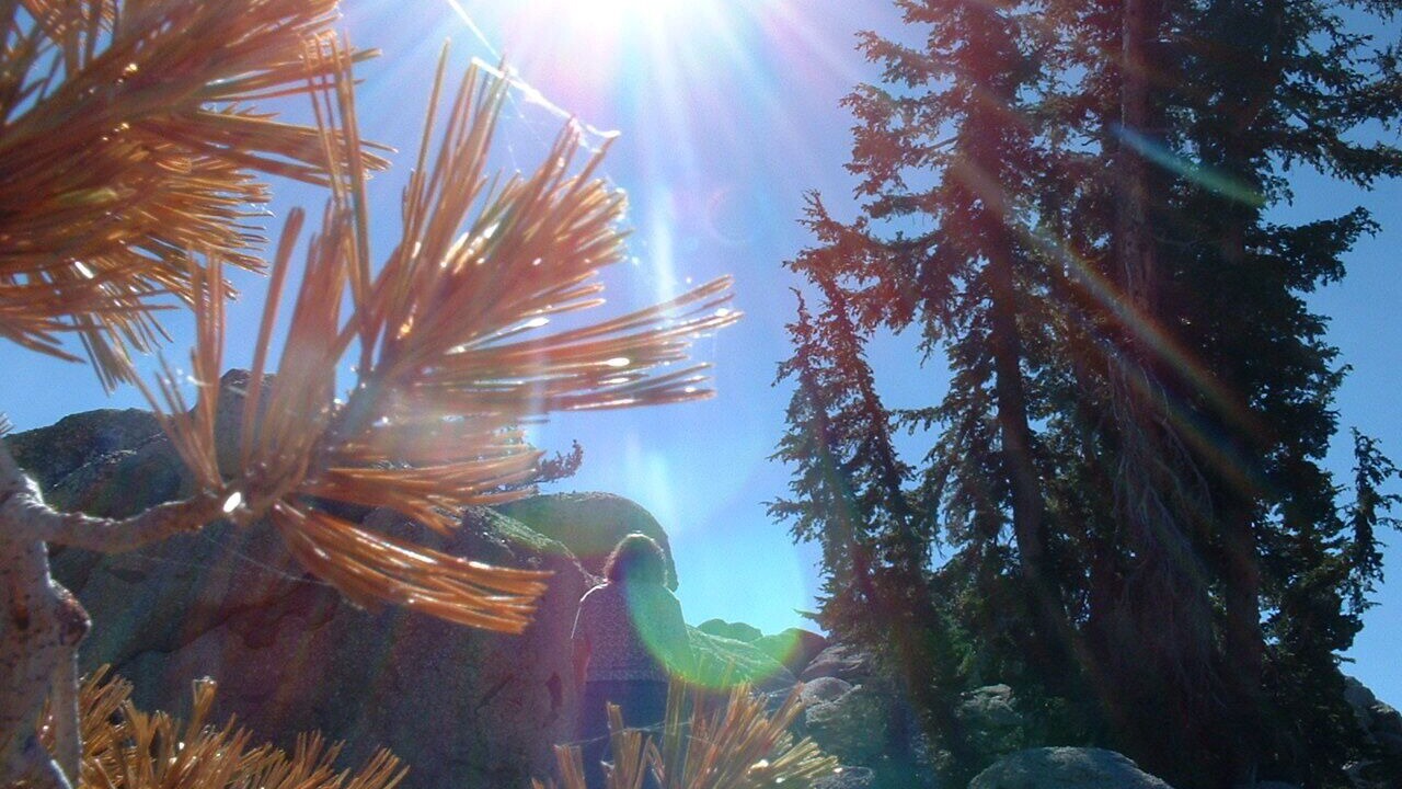 Photo of Outdoor in Cold Springs