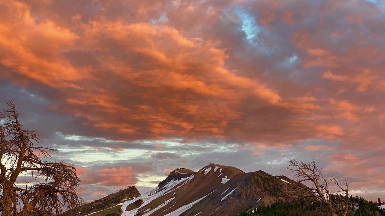 Photo of Others in Mammoth Lakes
