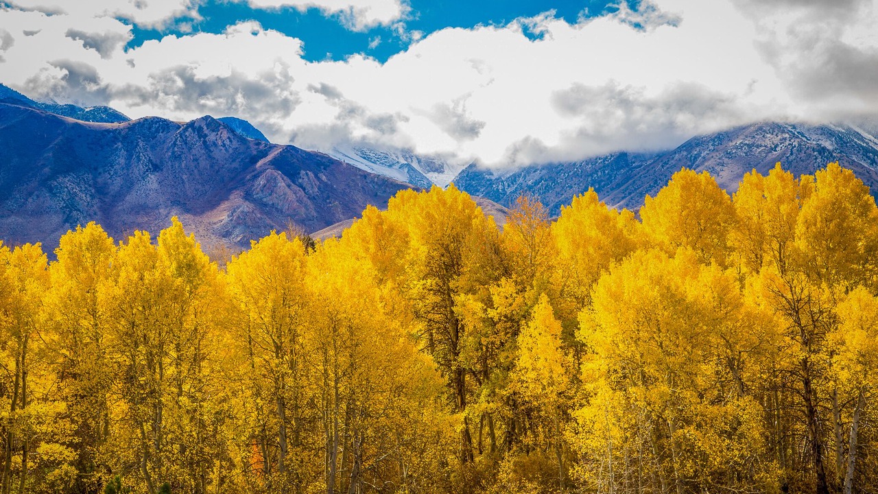 Photo of Others in Mammoth Lakes