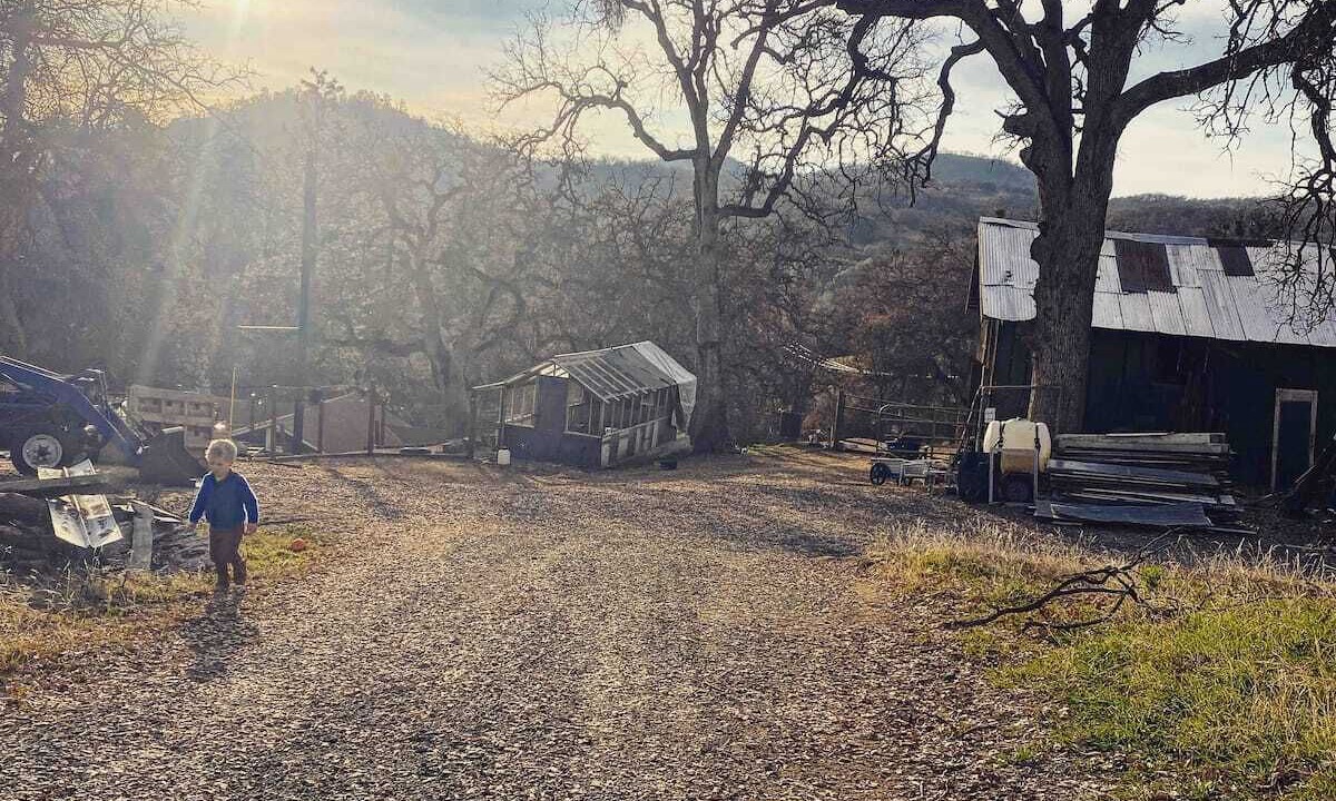 Photo of Outdoor in Posey