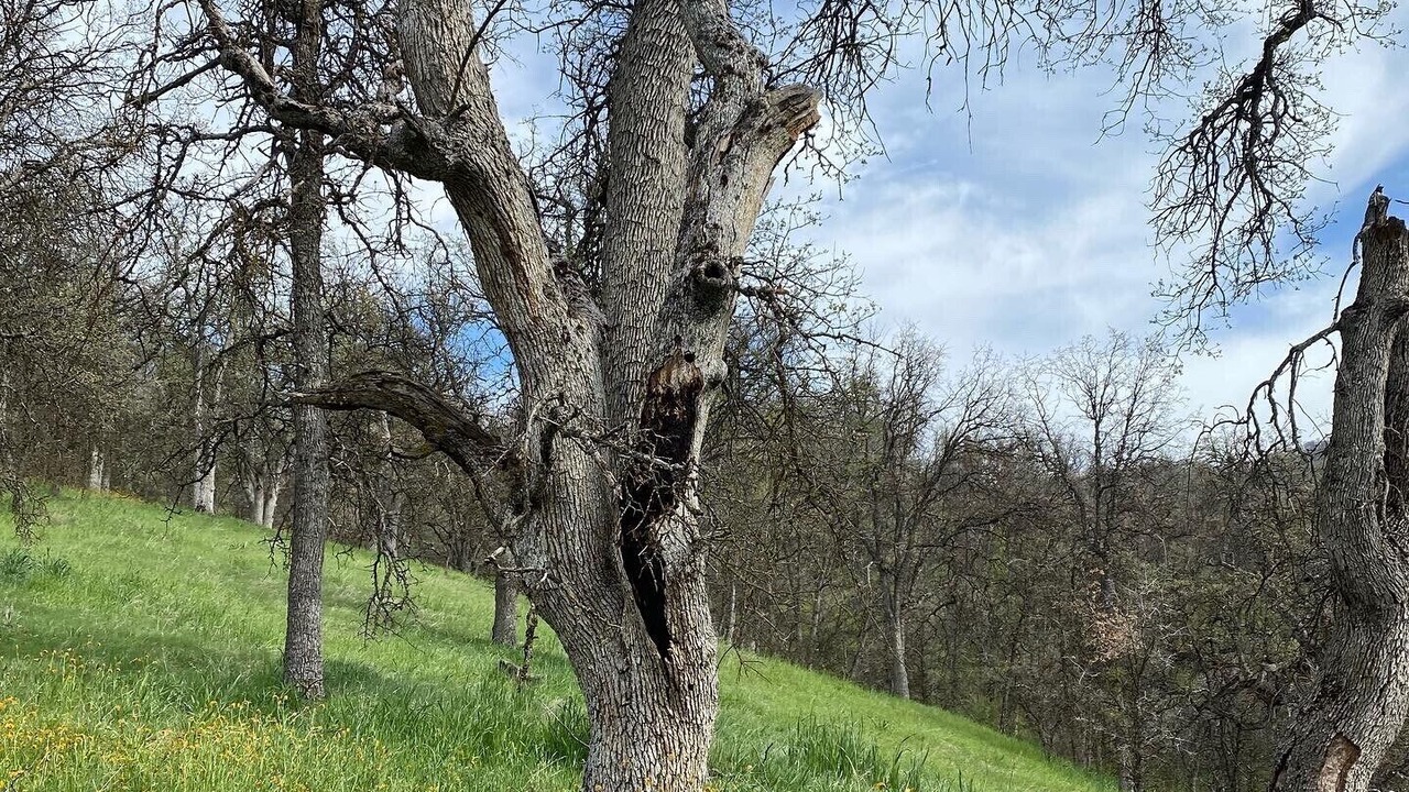 Photo of Others in Posey