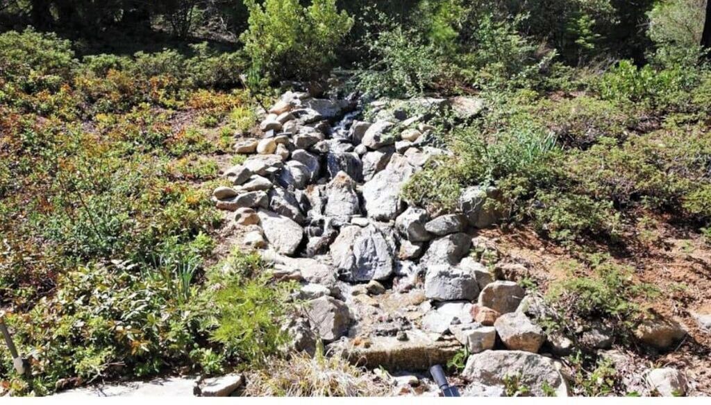 Photo of Outdoor in Shaver Lake