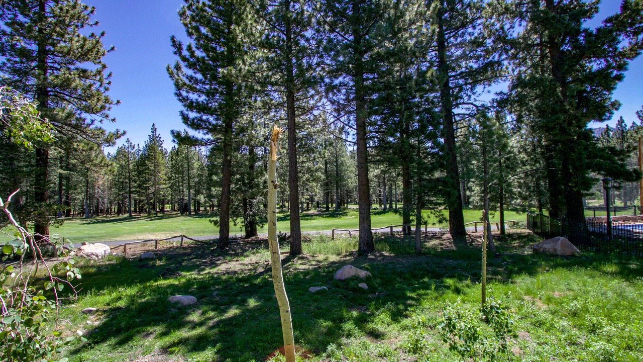 Photo of Outdoor in Mammoth Lakes