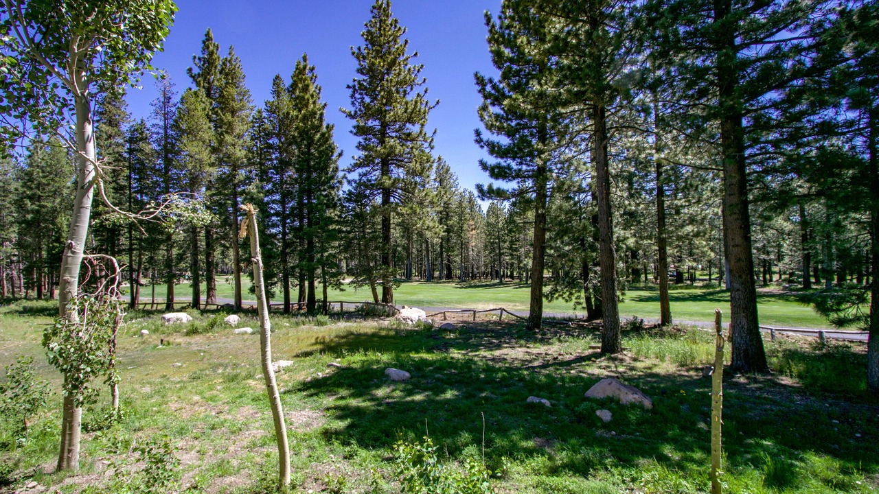 Photo of Outdoor in Mammoth Lakes