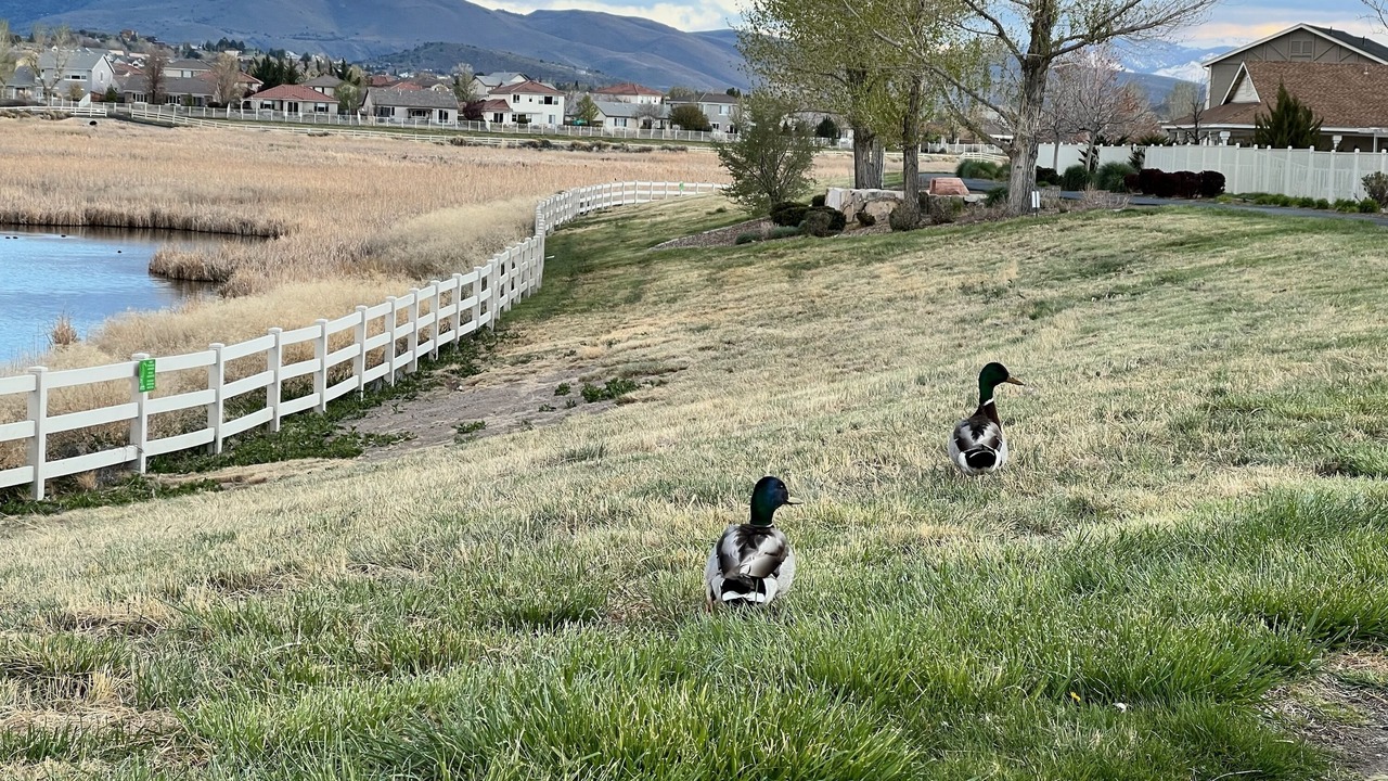 Photo of Outdoor in Reno