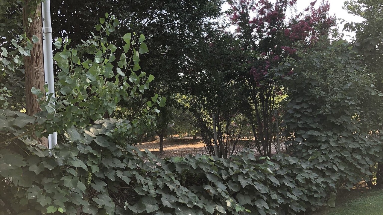 Photo of Outdoor in Rosedale
