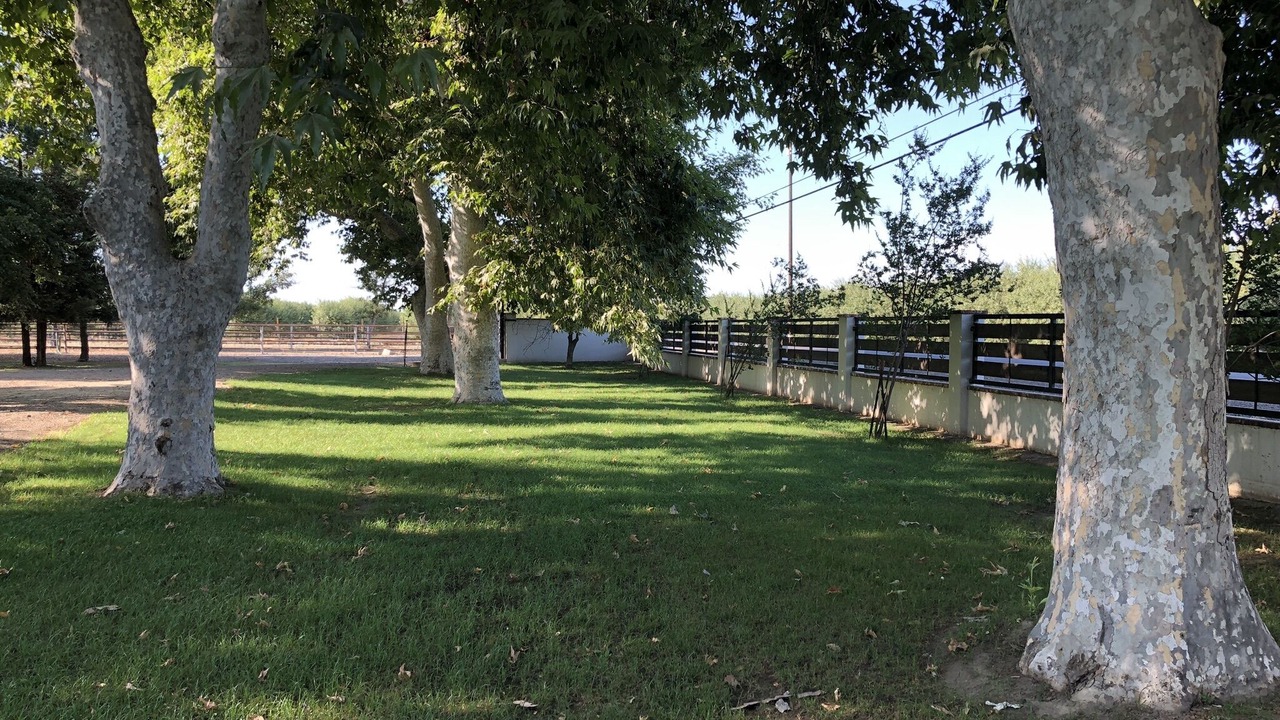 Photo of Outdoor in Rosedale