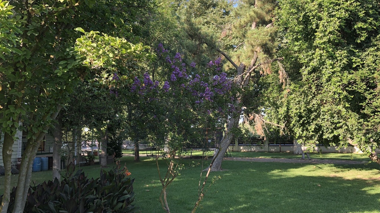 Photo of Outdoor in Rosedale