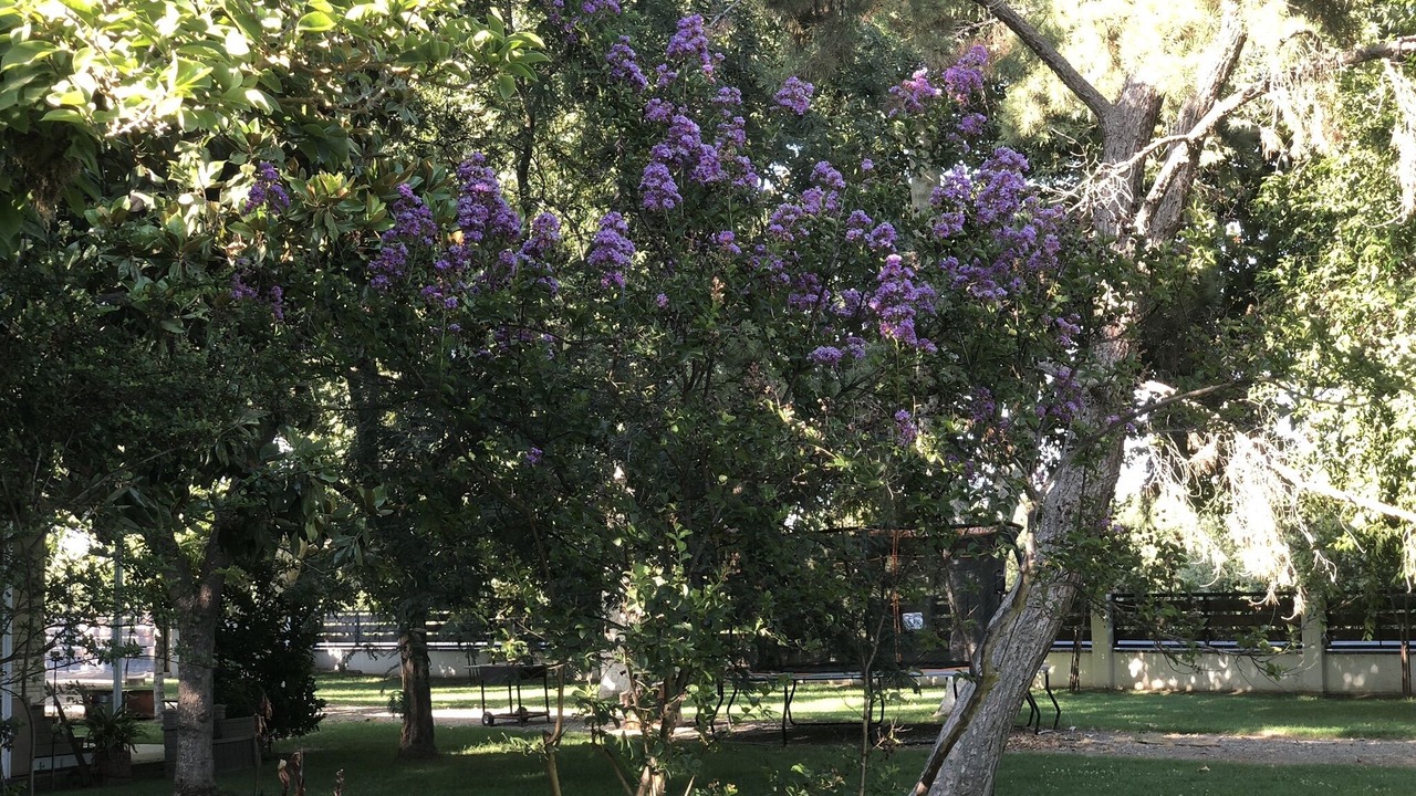 Photo of Outdoor in Rosedale